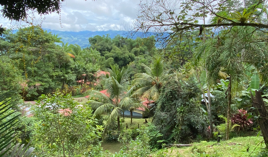 Tinamastes Tipico House with Great Potential — photo 6 of 13