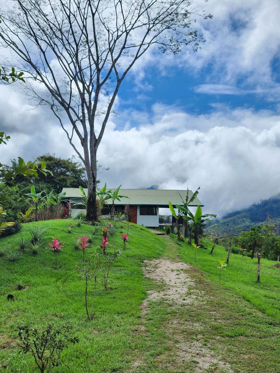 Private 2.4 acres with Amazing Views in Tinamastes, Tinamastes, Perez Zeledon, Bahia Ballena, Osa, San Jose, Costa Rica 11909