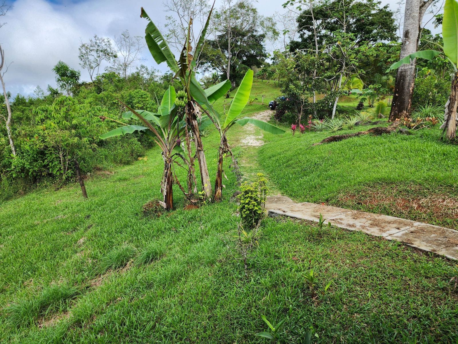 Private 2.4 acres with Amazing Views in Tinamastes — photo 12 of 19
