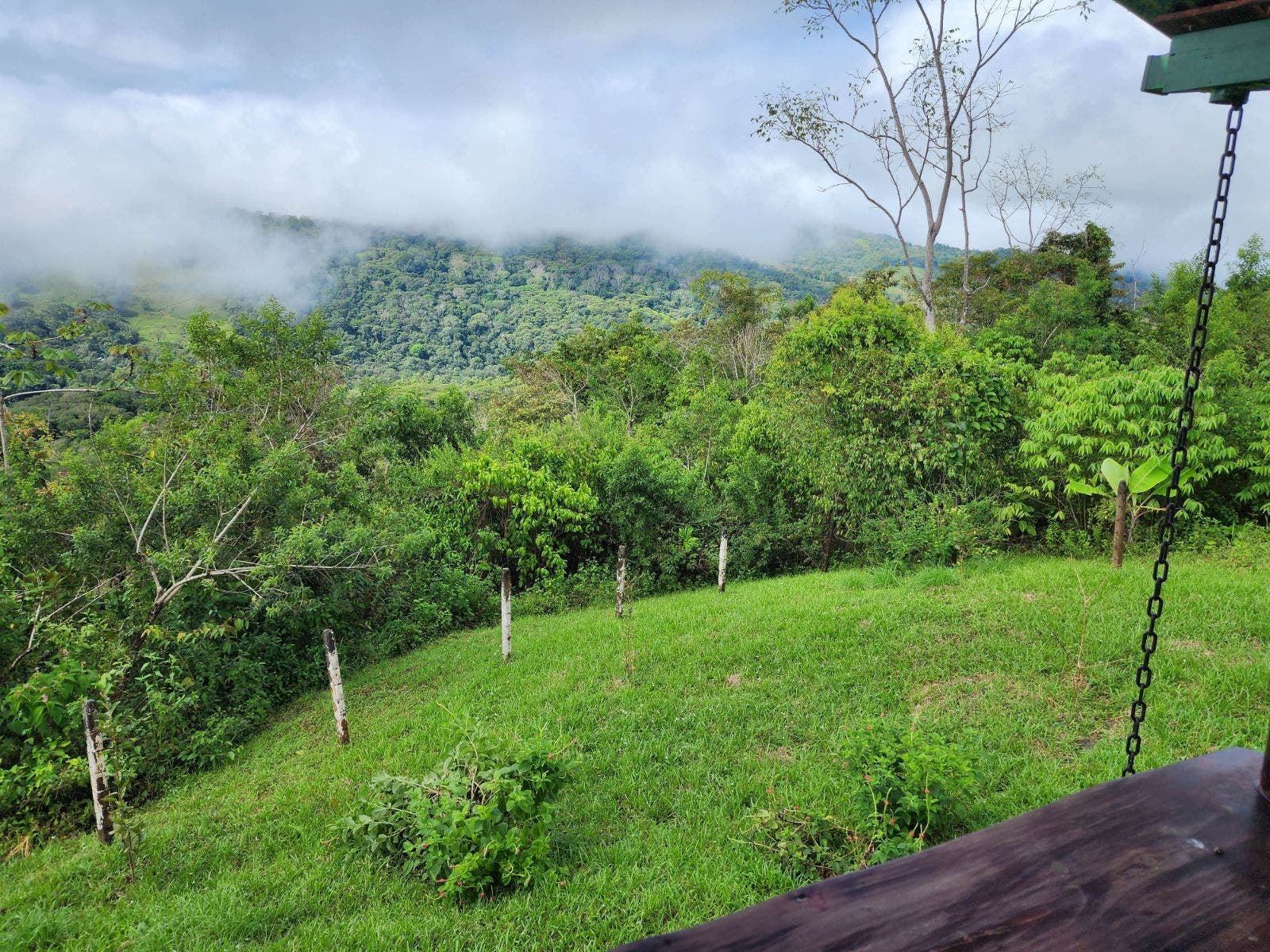 Private 2.4 acres with Amazing Views in Tinamastes — photo 13 of 19
