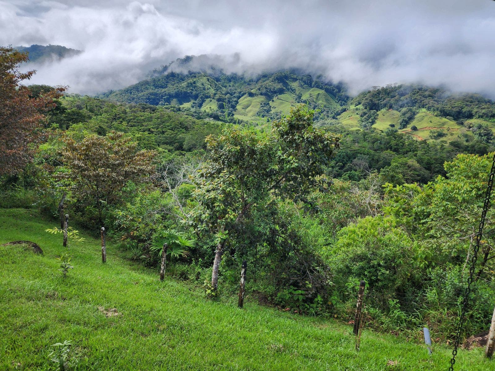 Private 2.4 acres with Amazing Views in Tinamastes — photo 14 of 19