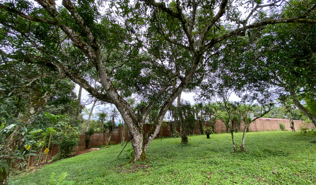 5BR Mountain View House, Minutes From Town — photo 7 of 19