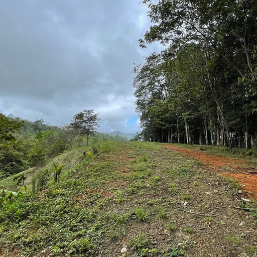 6+ Mountain Acres with Beautiful Views, San Isidro de El General, Dominical, San Isidro De El General, Perez Zeledon, Puntarenas, Costa Rica 11901 — photo 2 of 5
