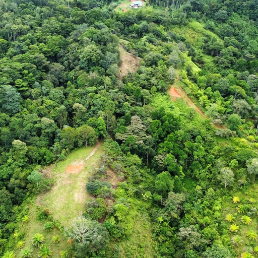 6+ Mountain Acres with Beautiful Views, San Isidro de El General, Dominical, San Isidro De El General, Perez Zeledon, Puntarenas, Costa Rica 11901 — photo 5 of 5