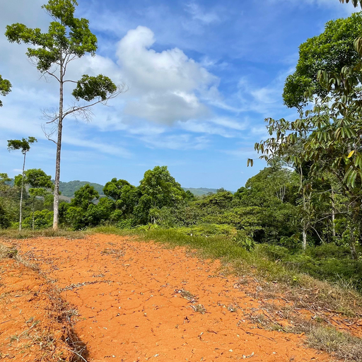 6+ Mountain Acres with Beautiful Views — photo 6 of 16