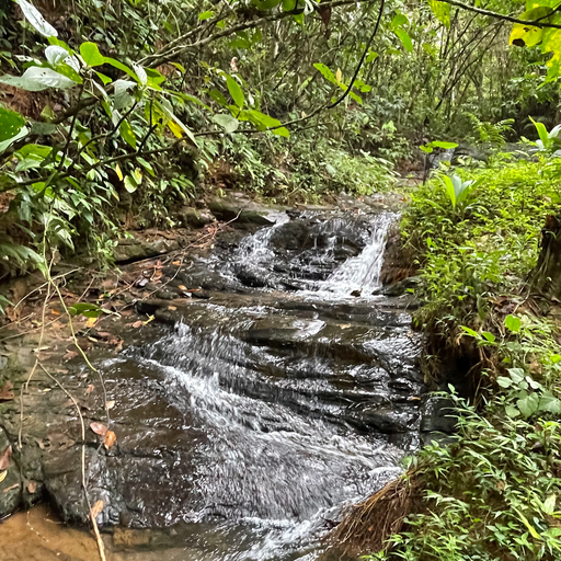 6+ Mountain Acres with Beautiful Views — photo 9 of 16