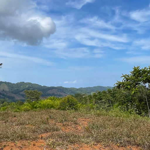 6+ Mountain Acres with Beautiful Views — photo 11 of 16