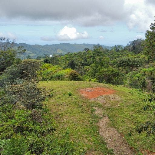 6+ Mountain Acres with Beautiful Views — photo 15 of 16