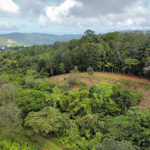6+ Mountain Acres with Beautiful Views — photo 16 of 16
