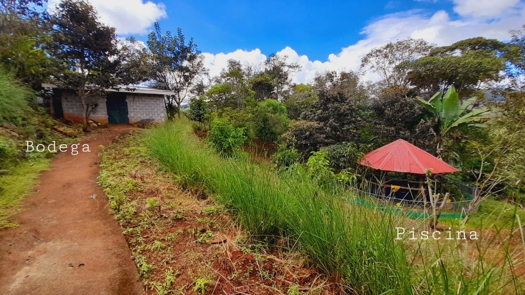 Spacious Mountain View House on 3.25 Acres — photo 13 of 16