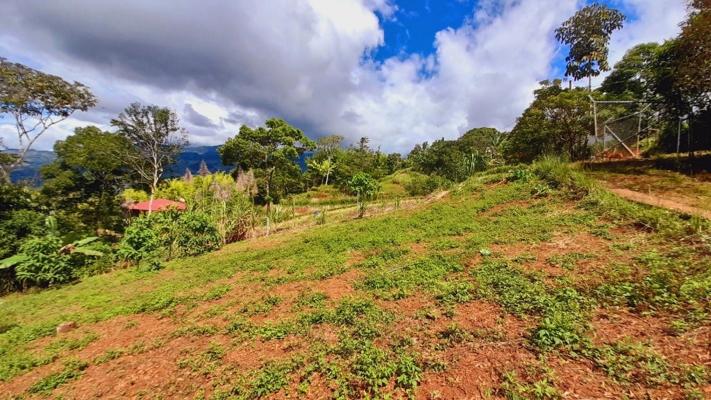 Spacious Mountain View House on 3.25 Acres — photo 14 of 16