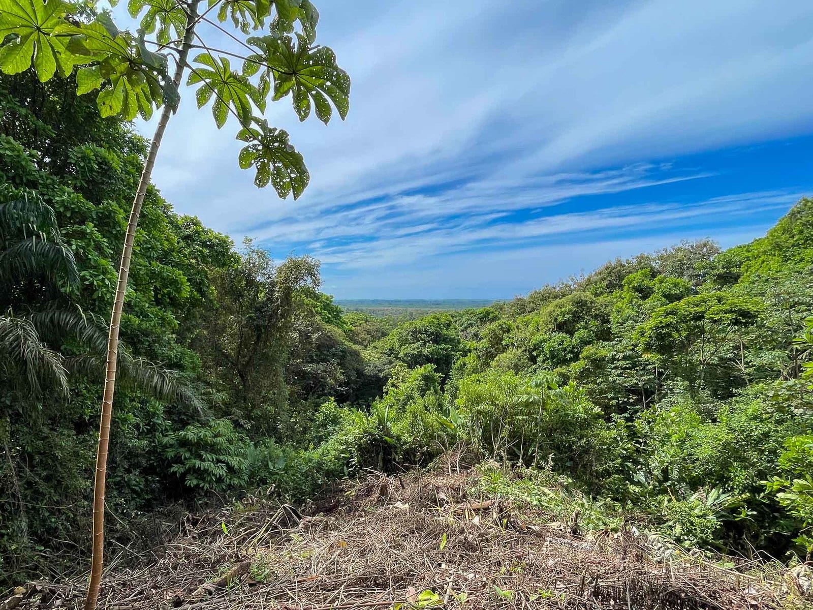 Waterfall Ocean view gated community of Las Palmas, Quepos, Manuel Antonio, Puntarenas, Puntarenas, Costa Rica 60601
