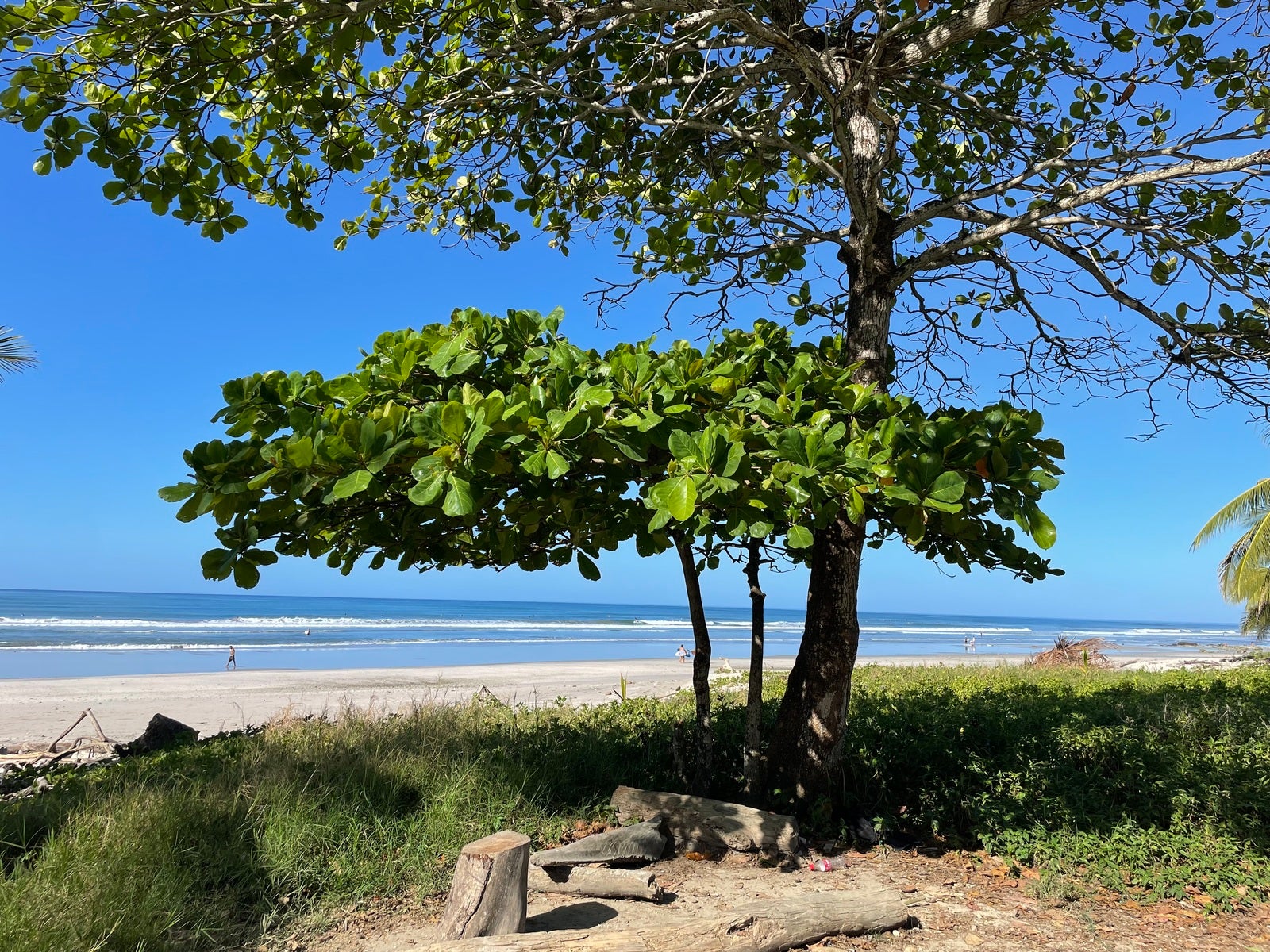 Beachfront Concession With Commercial and Residential Zoning — photo 3 of 19