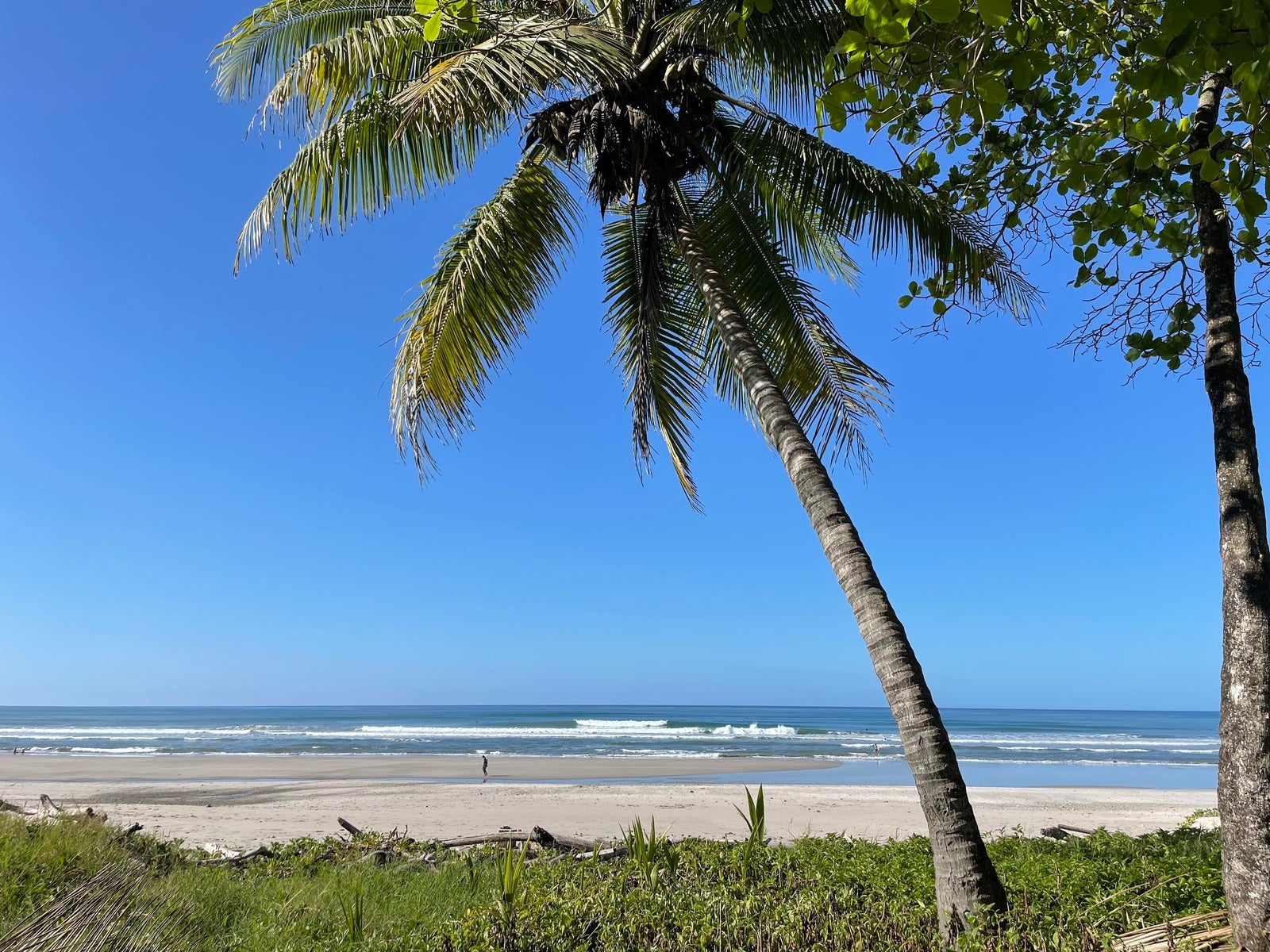 Beachfront Concession With Commercial and Residential Zoning — photo 12 of 19
