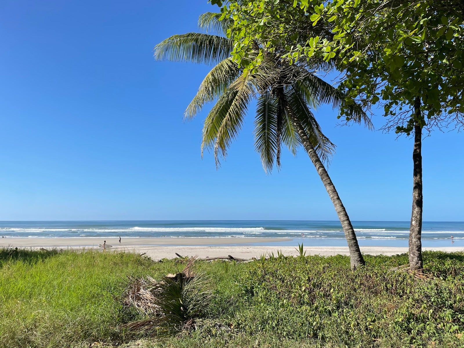 Beachfront Concession With Commercial and Residential Zoning — photo 7 of 19