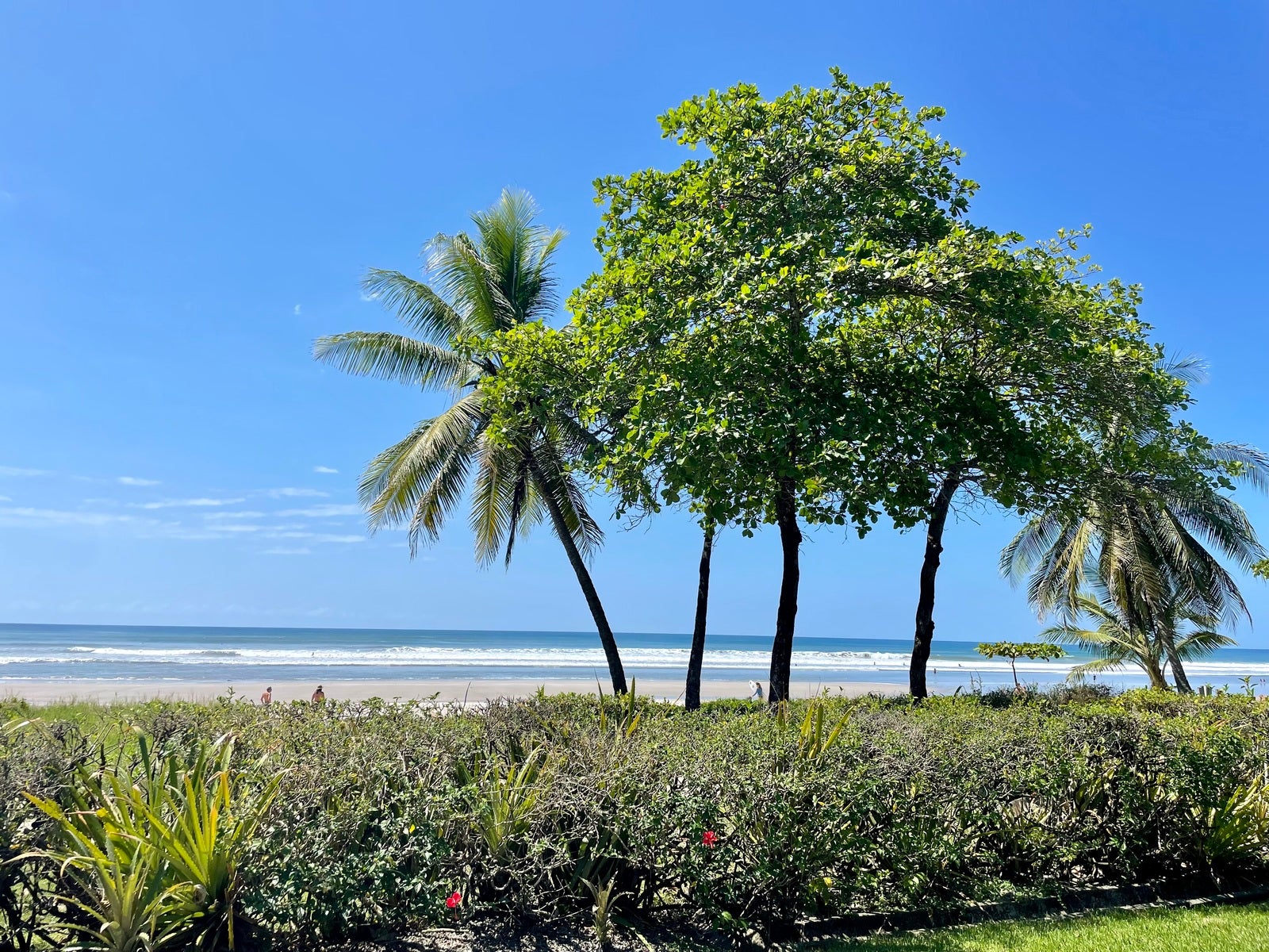 Beachfront Concession With Commercial and Residential Zoning — photo 9 of 19