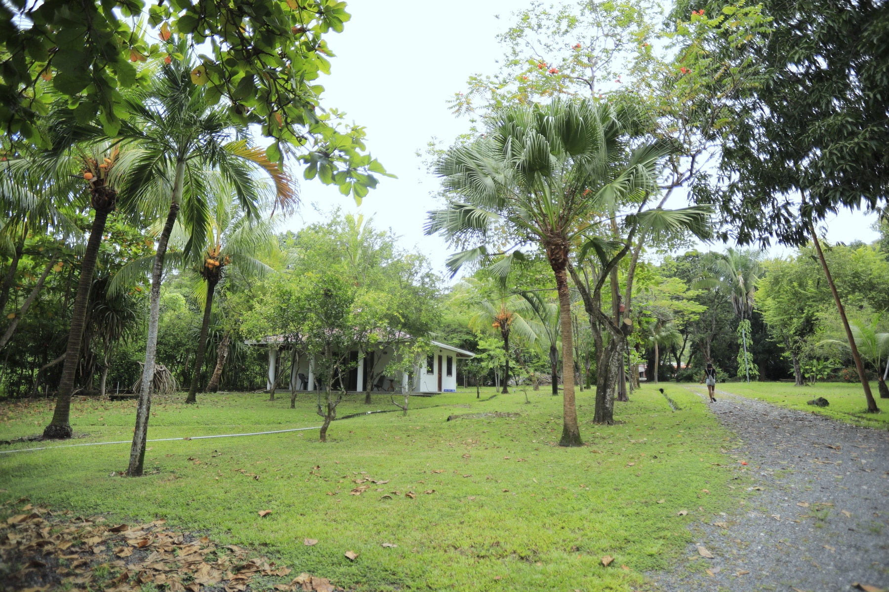 Beachfront Concession With Commercial and Residential Zoning — photo 14 of 19