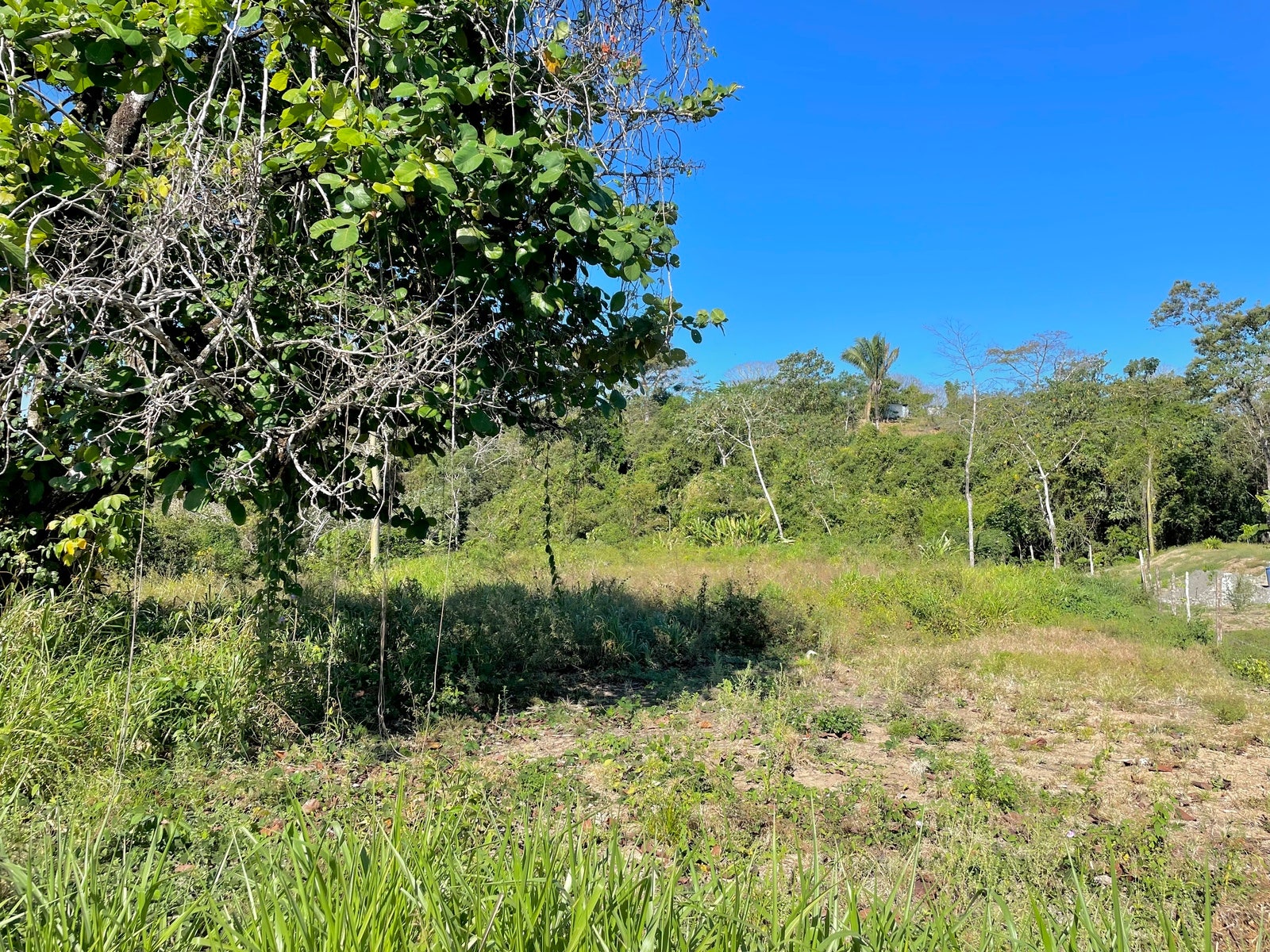 Beautiful Lot With Views Ten Min from Malpais , Brisas Del Cabo, Santa Teresa, Cobano, Puntarenas, Puntarenas, Costa Rica 60111