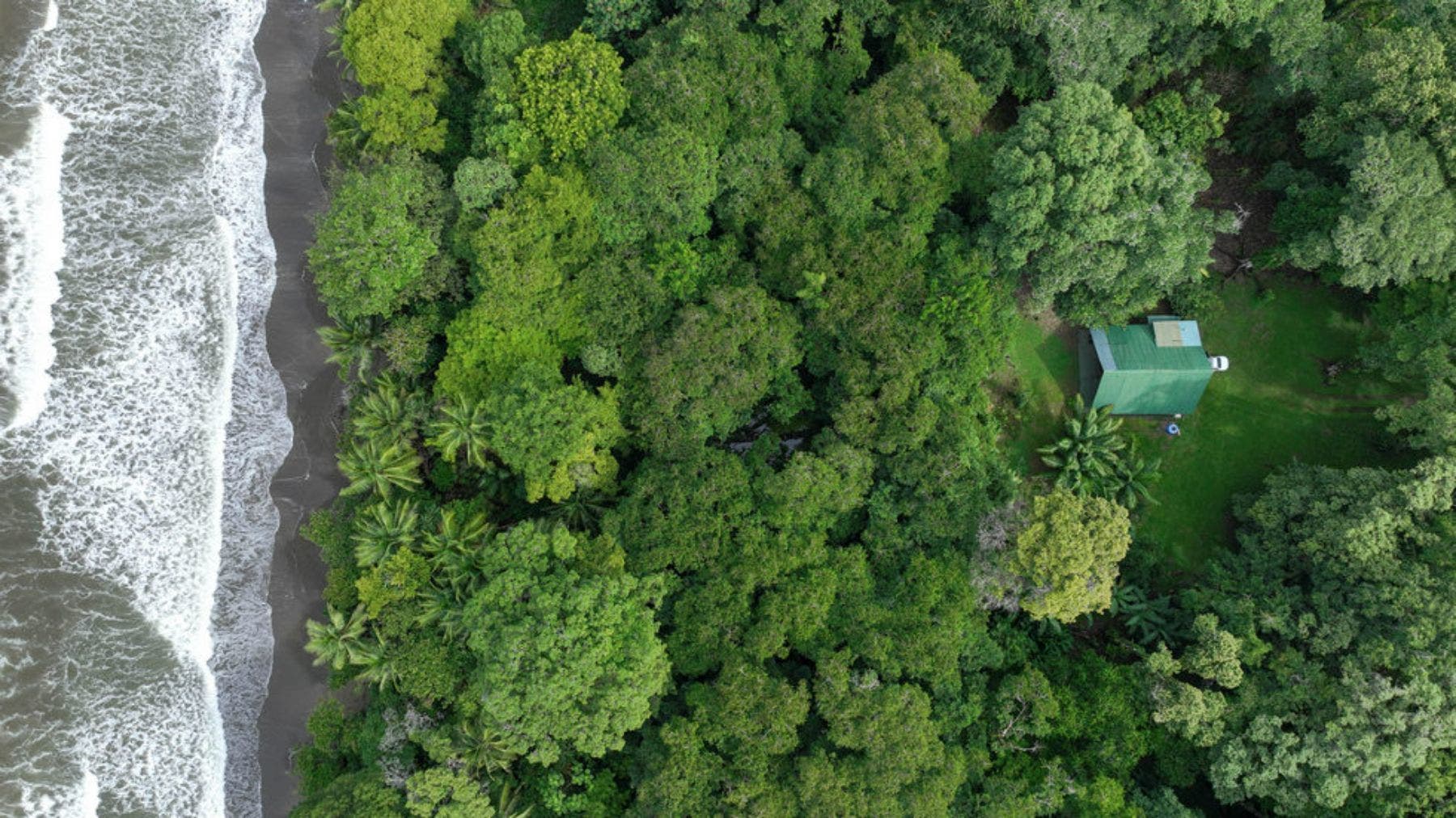 Beachfront Property with Bonus Wooden House, Uvita, Dominical, Bahia Ballena, Osa, Puntarenas, Costa Rica 60504 — photo 2 of 5