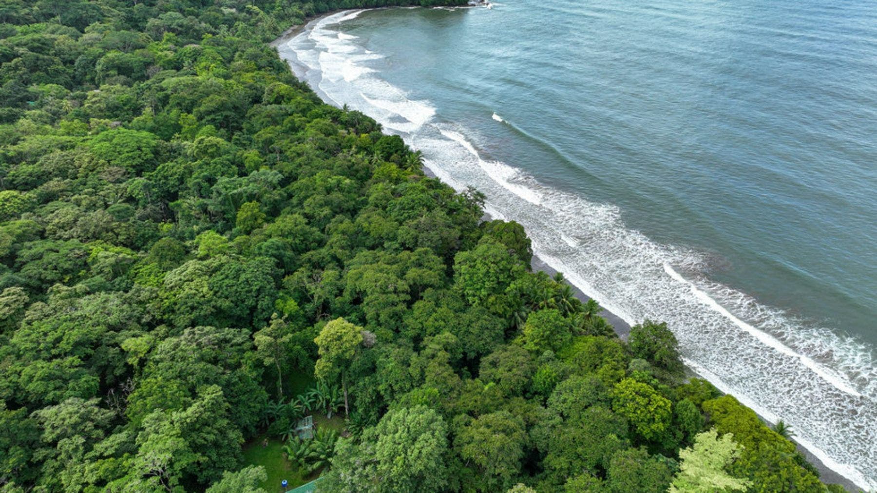 Beachfront Property with Bonus Wooden House, Uvita, Dominical, Bahia Ballena, Osa, Puntarenas, Costa Rica 60504