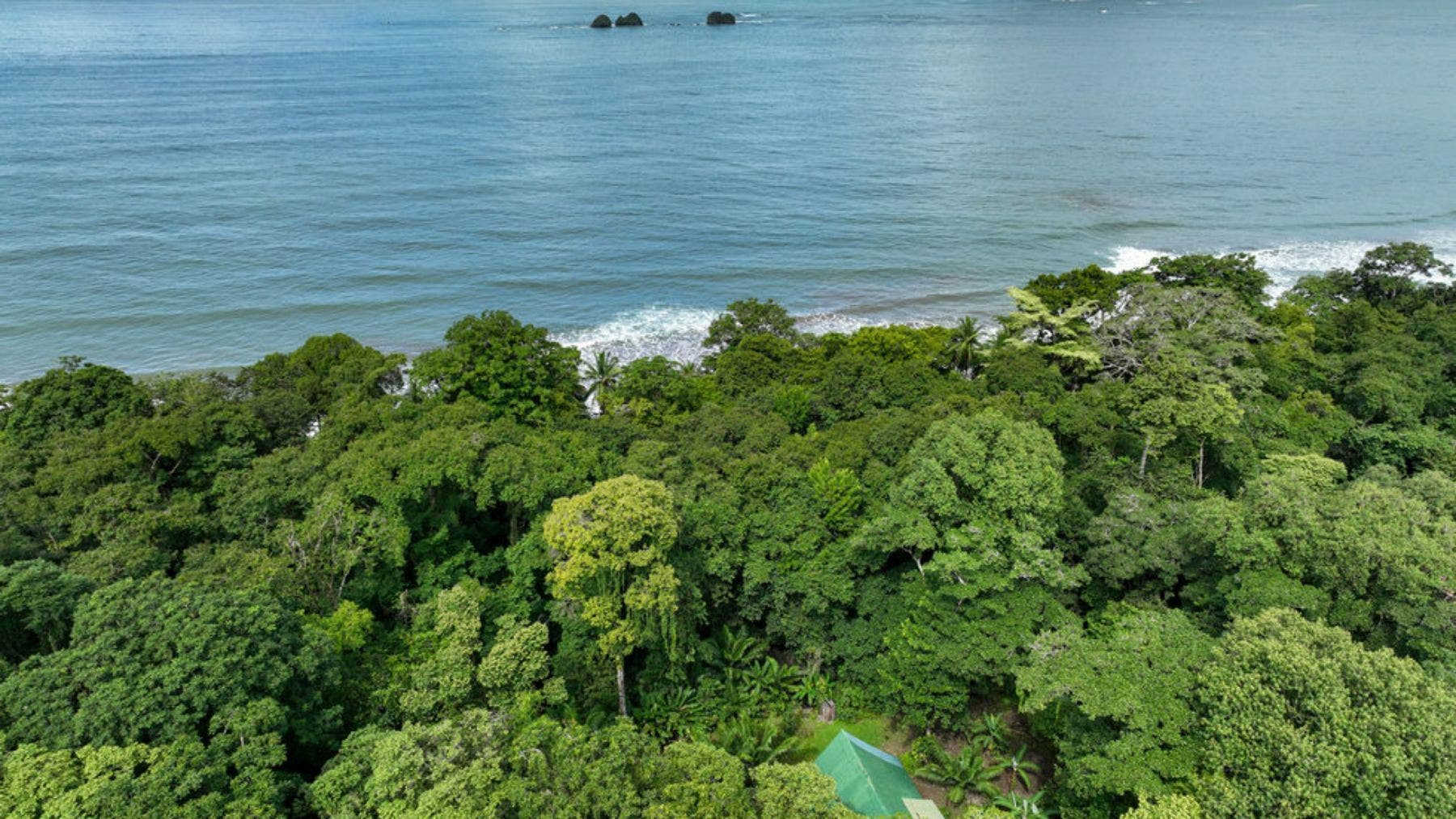 Beachfront Property with Bonus Wooden House, Uvita, Dominical, Bahia Ballena, Osa, Puntarenas, Costa Rica 60504 — photo 4 of 5