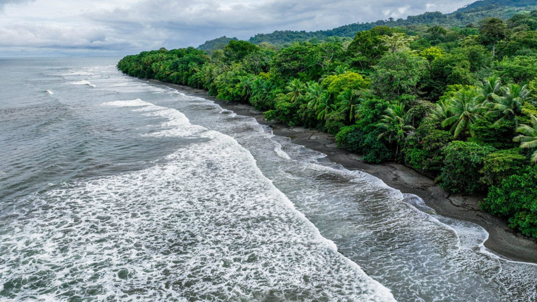 Beachfront Property with Bonus Wooden House, Uvita, Dominical, Bahia Ballena, Osa, Puntarenas, Costa Rica 60504 — photo 5 of 5