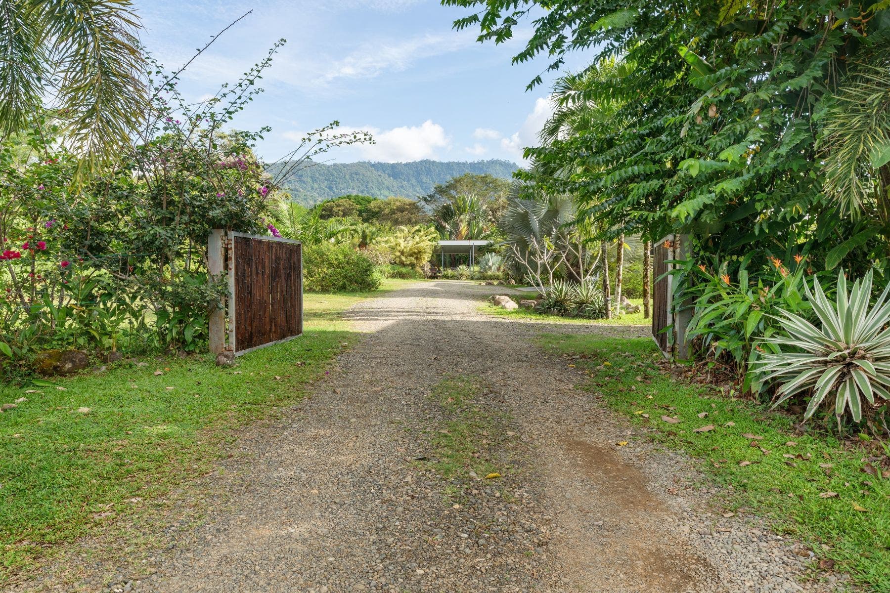 Contemporary 3 Bedroom House in Bahia Ballena — photo 10 of 19