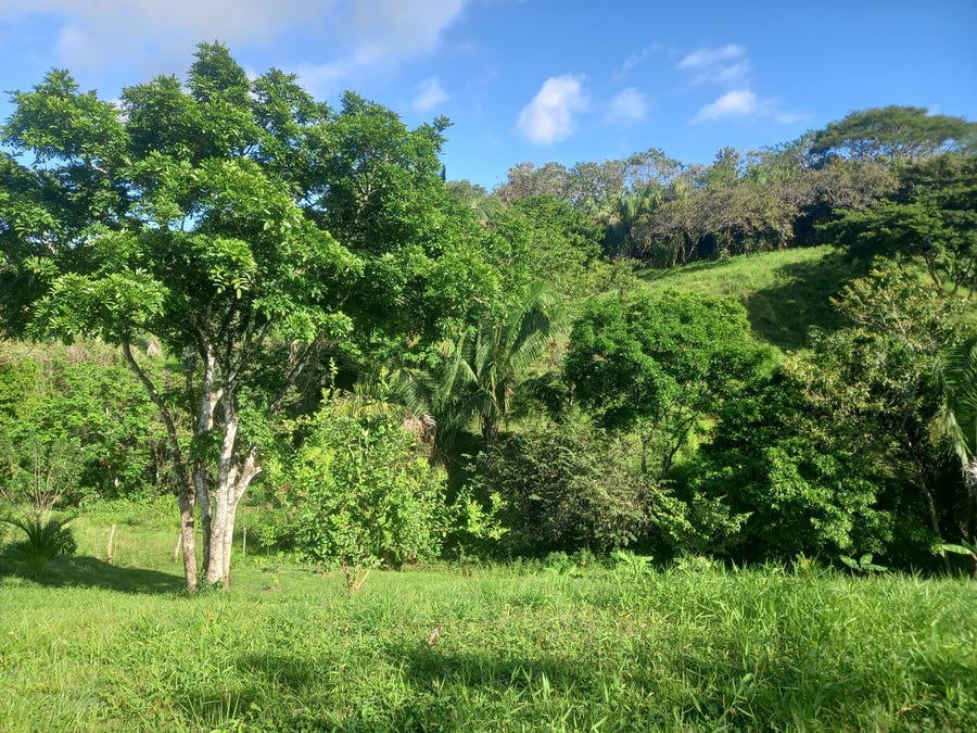 Property photo for Lots for Sale in San Isidro, San Isidro, Santa Teresa, Cobano, Puntarenas, Puntarenas, Costa Rica
