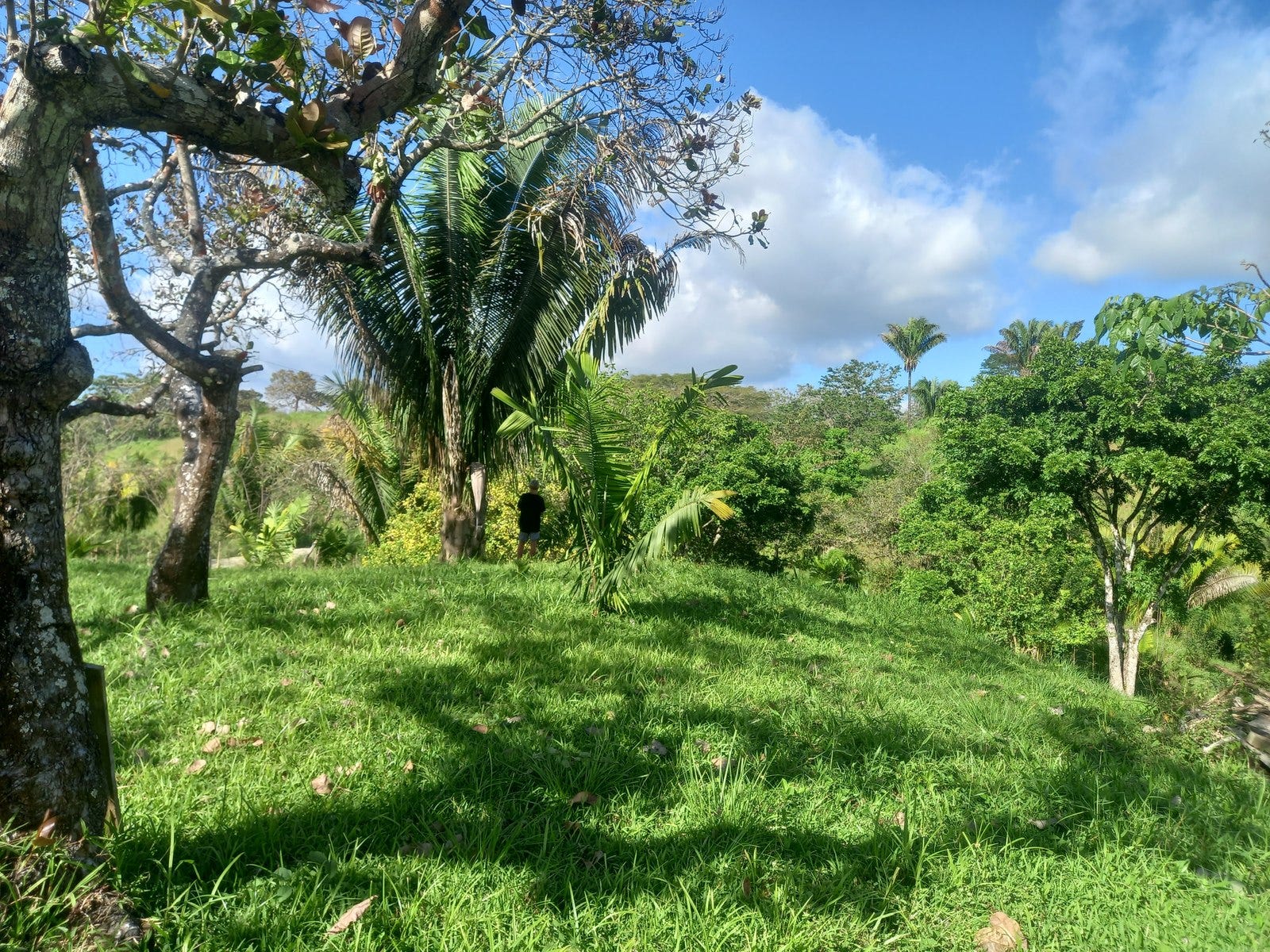 Lots for Sale in San Isidro — photo 2 of 5