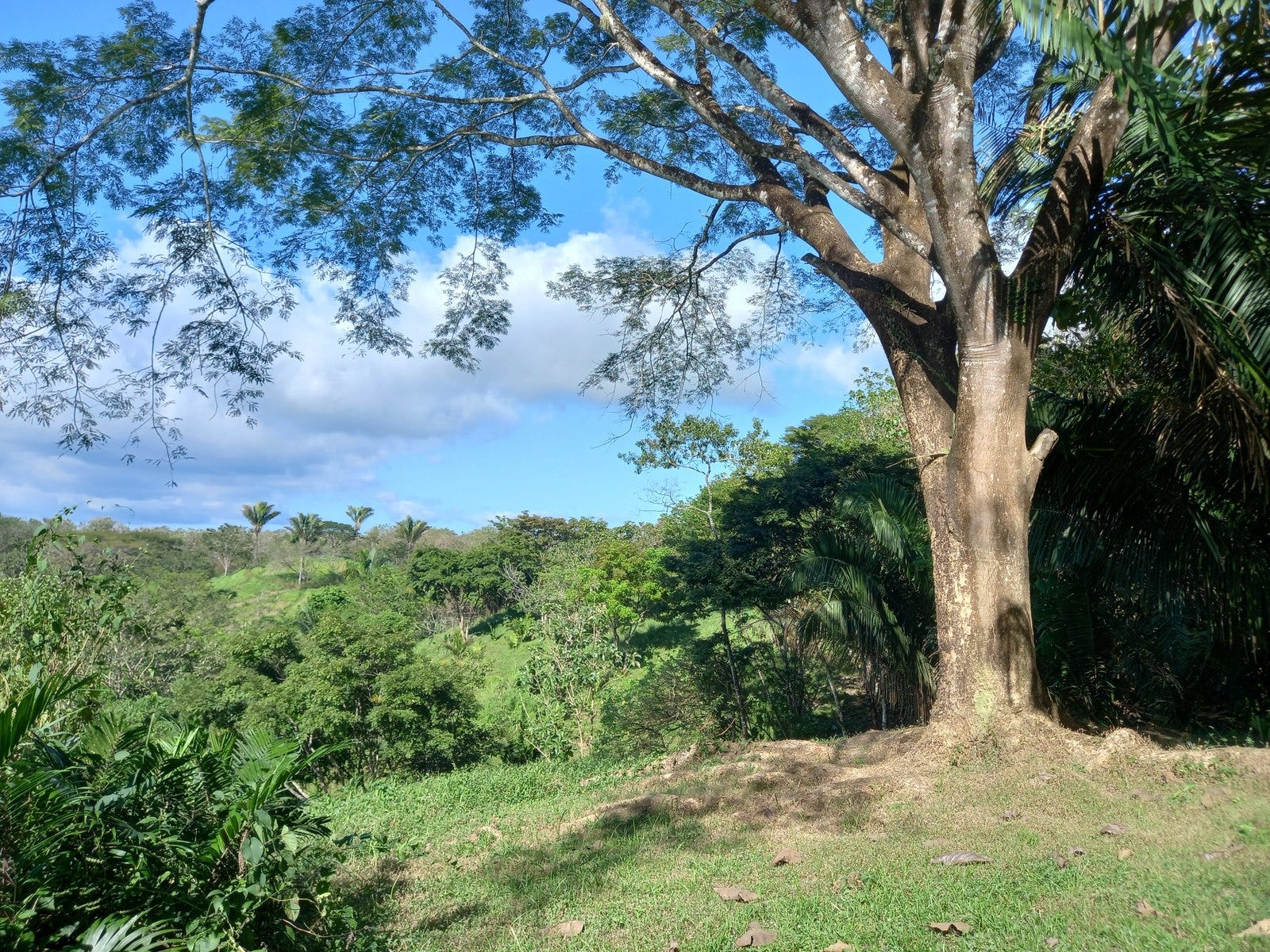 Lots for Sale in San Isidro — photo 3 of 5