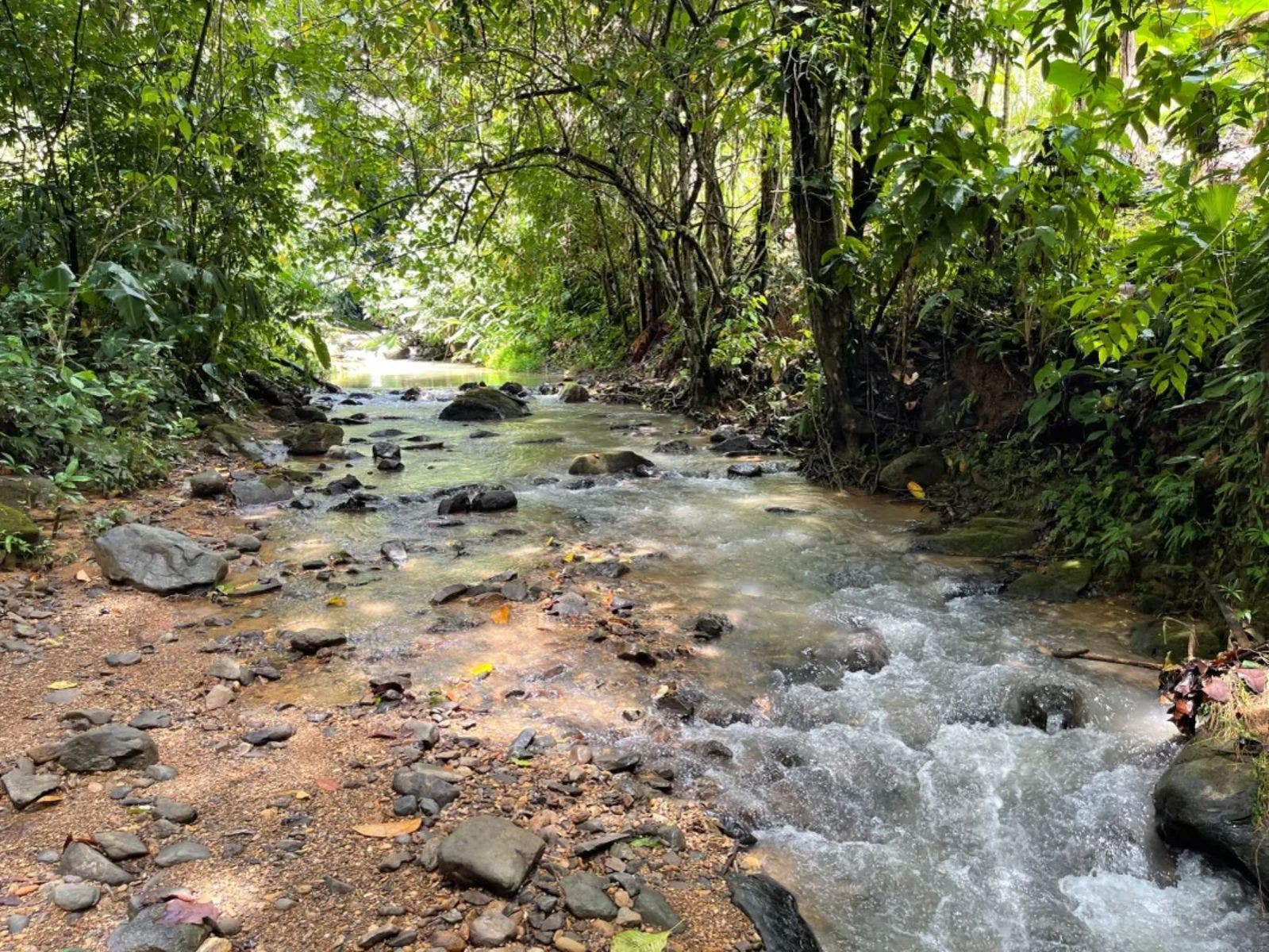 Lots in Tres Rios of Ojochal — photo 11 of 19