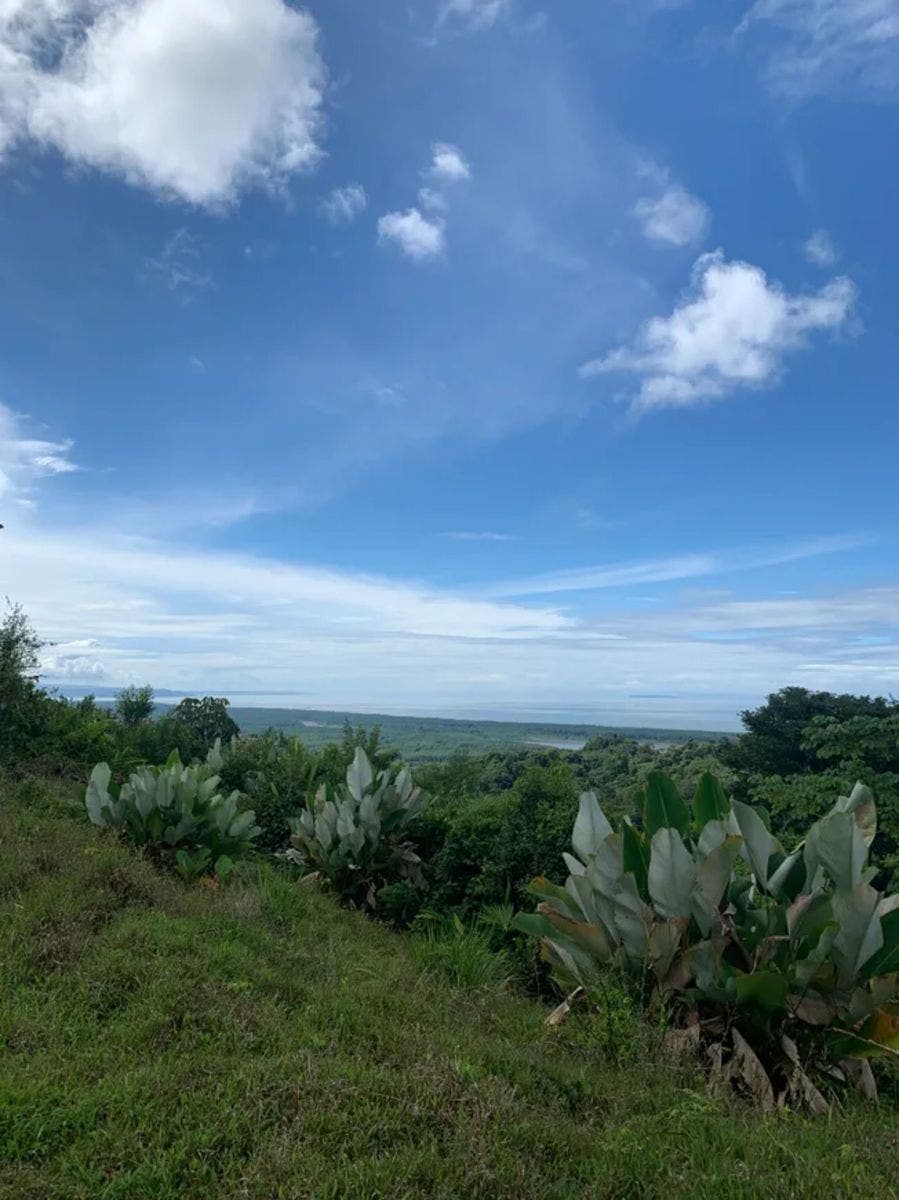 Lots in Tres Rios of Ojochal — photo 19 of 19