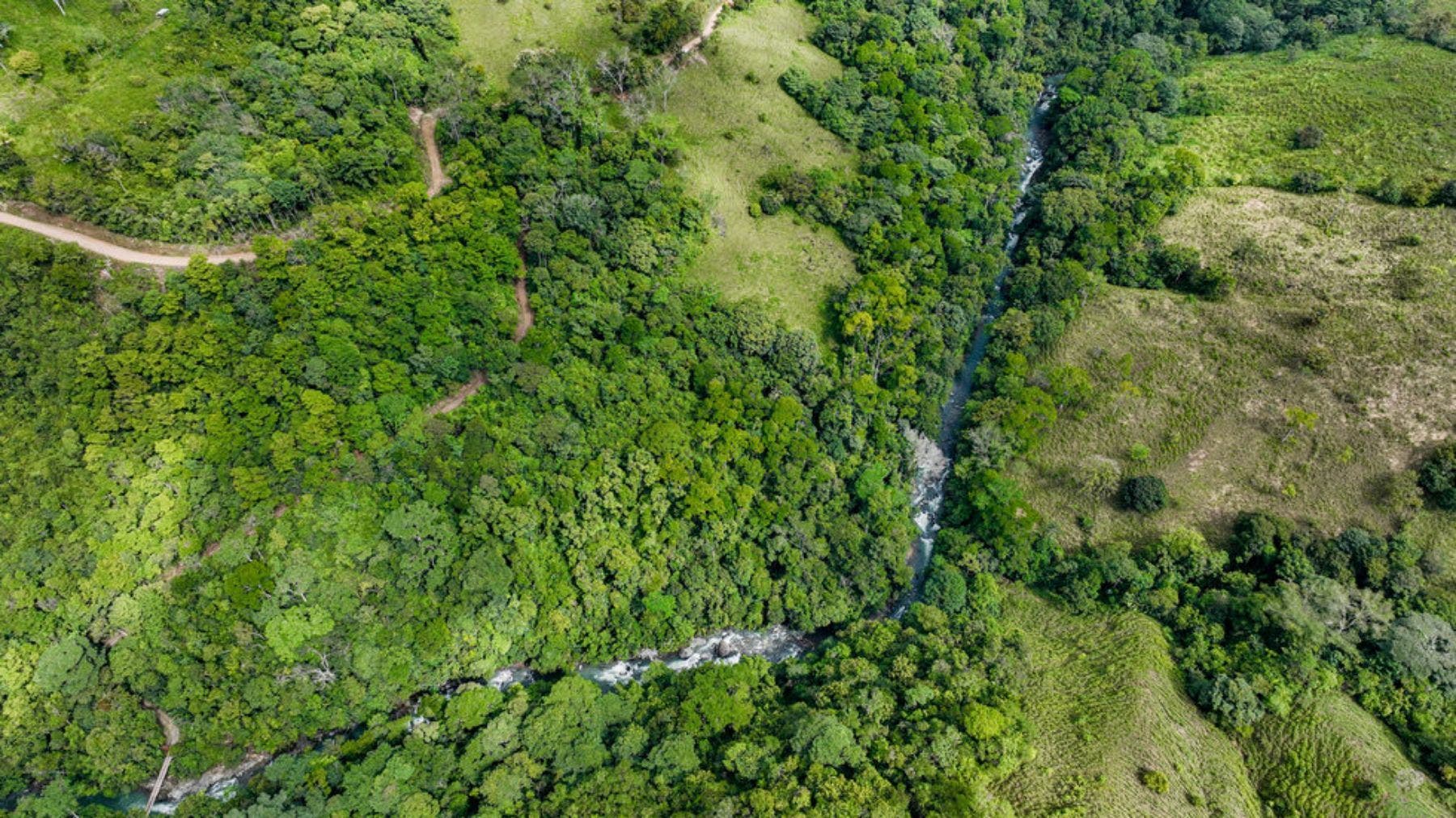 Riverfront Farm With Gorgeous Waterfalls And Ocean Views — photo 9 of 19