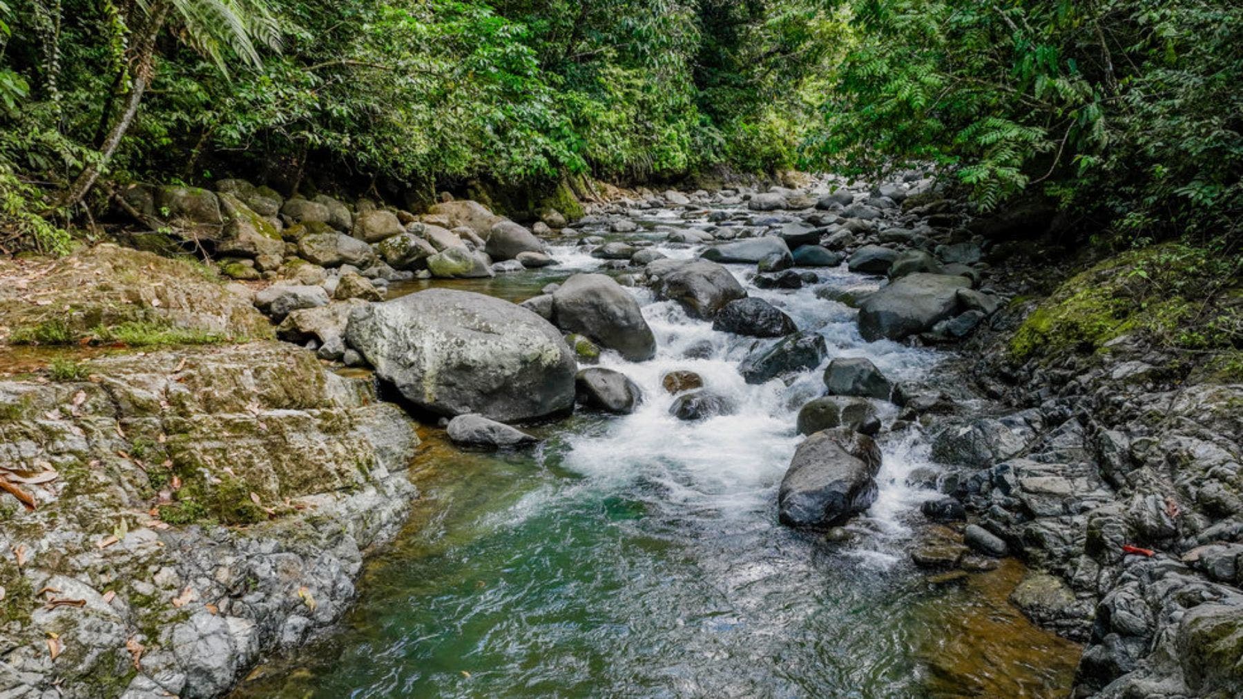 Riverfront Farm With Gorgeous Waterfalls And Ocean Views — photo 13 of 19