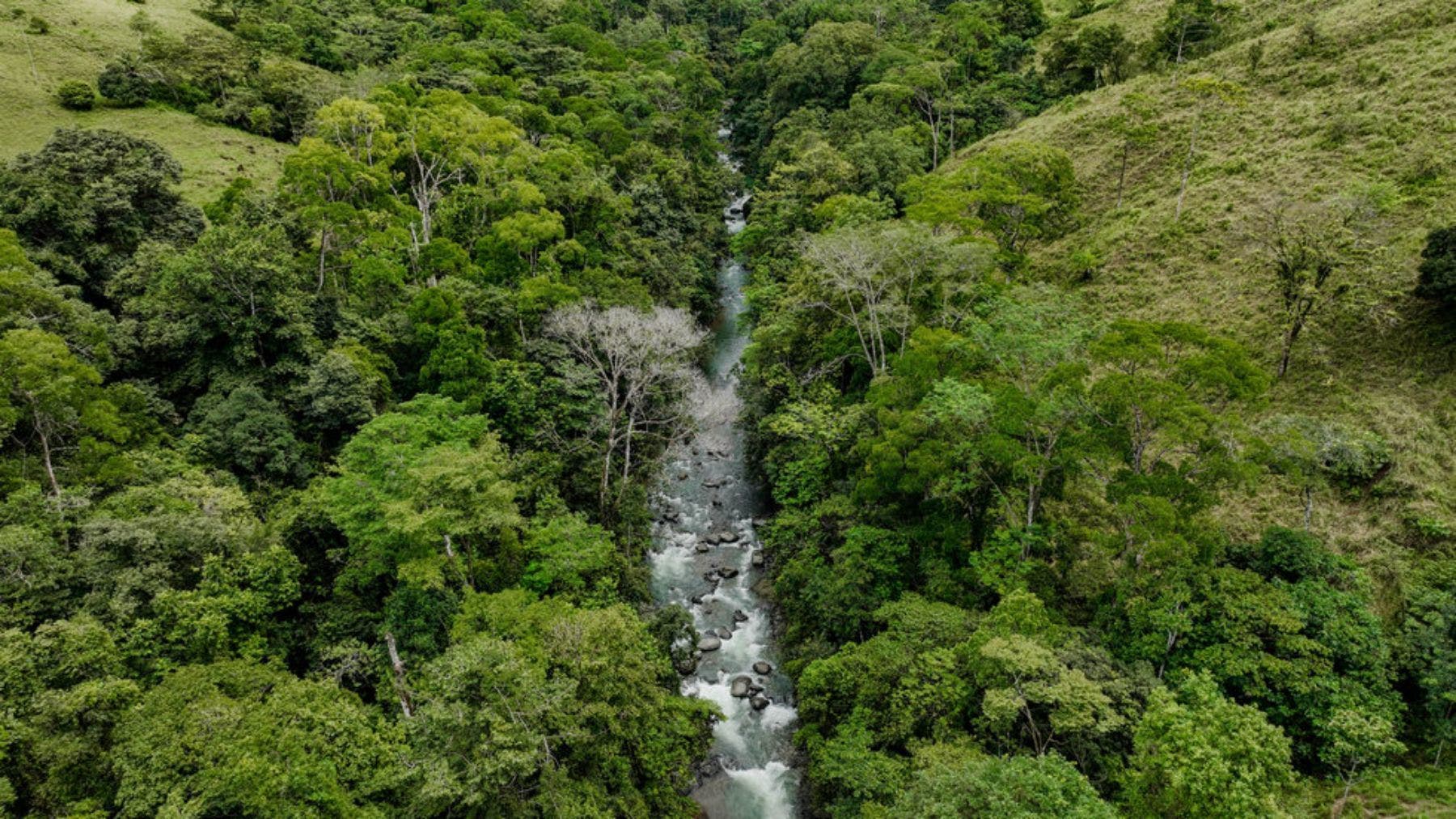 Riverfront Farm With Gorgeous Waterfalls And Ocean Views — photo 15 of 19