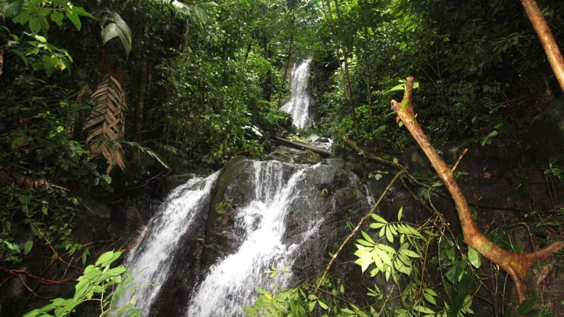 Riverfront Farm With Gorgeous Waterfalls And Ocean Views — photo 17 of 19
