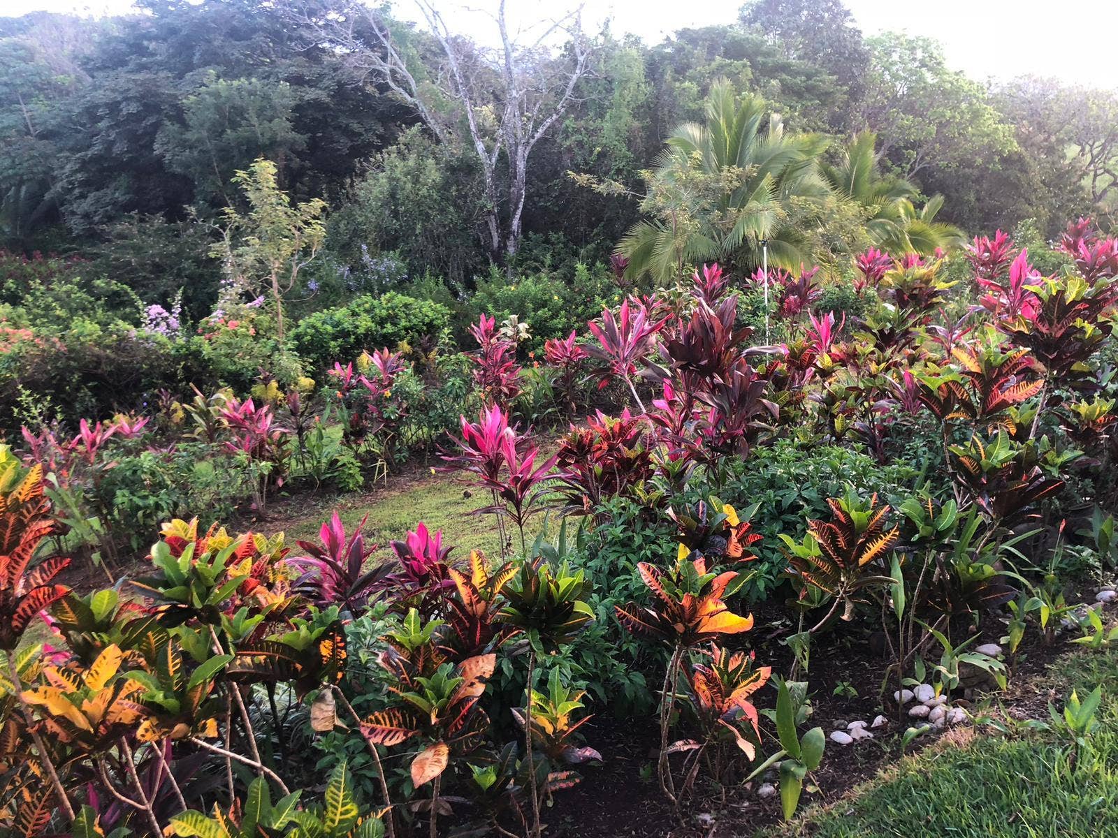 Atenas Paradise Estate — foto 12 de 19