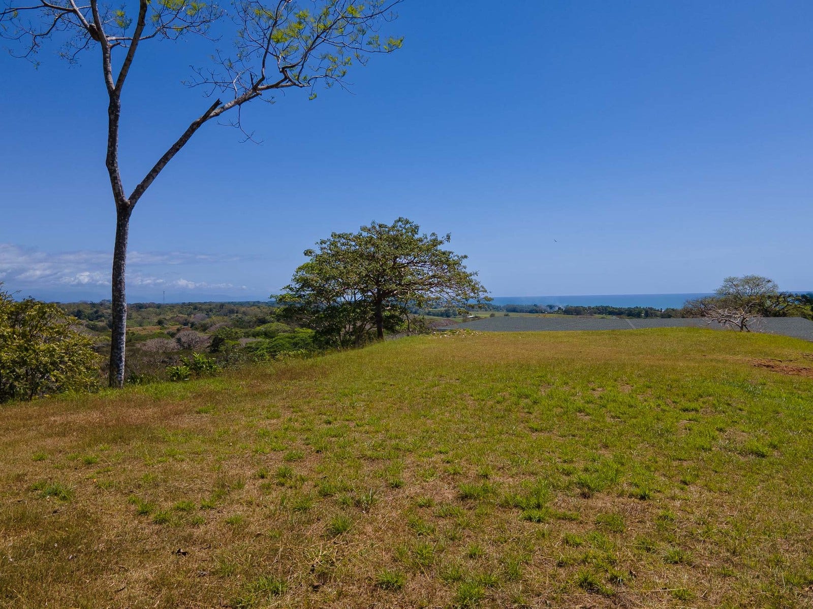 Stunning Ocean View Lot in Dos Colinas — photo 5 of 15