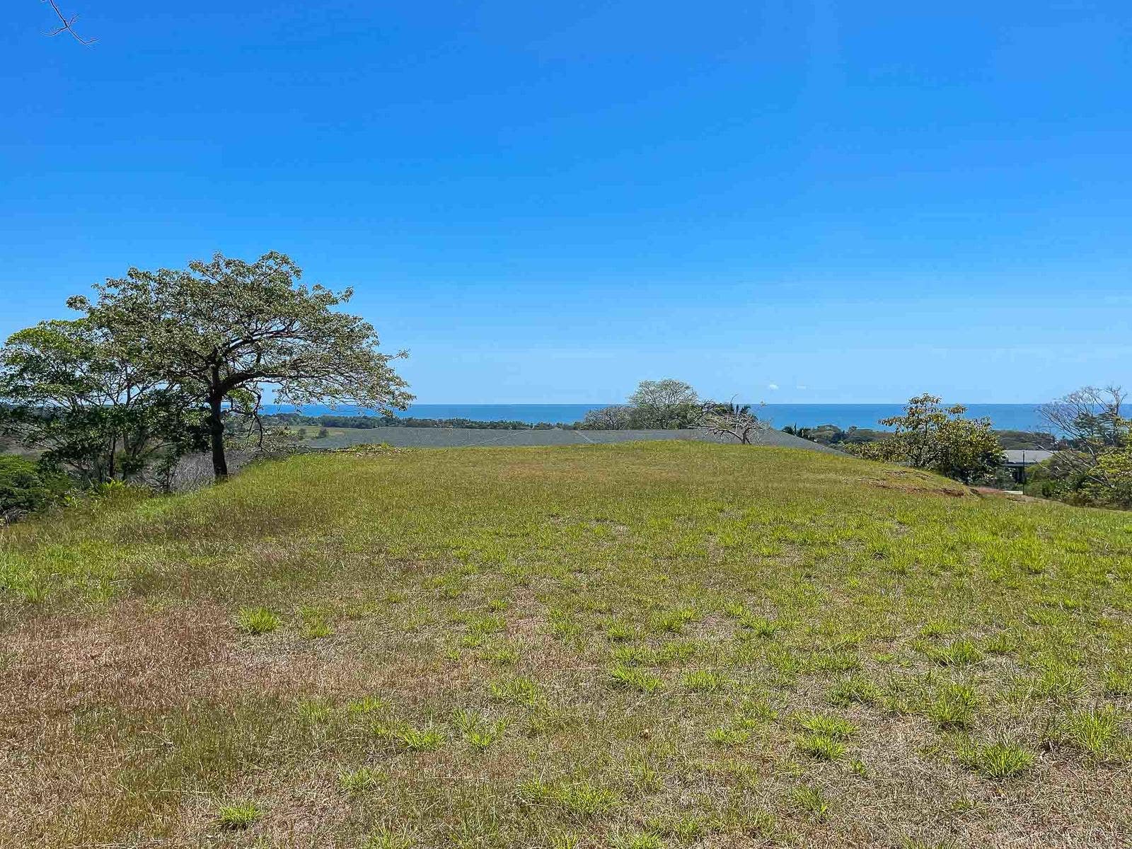 Stunning Ocean View Lot in Dos Colinas — photo 8 of 15