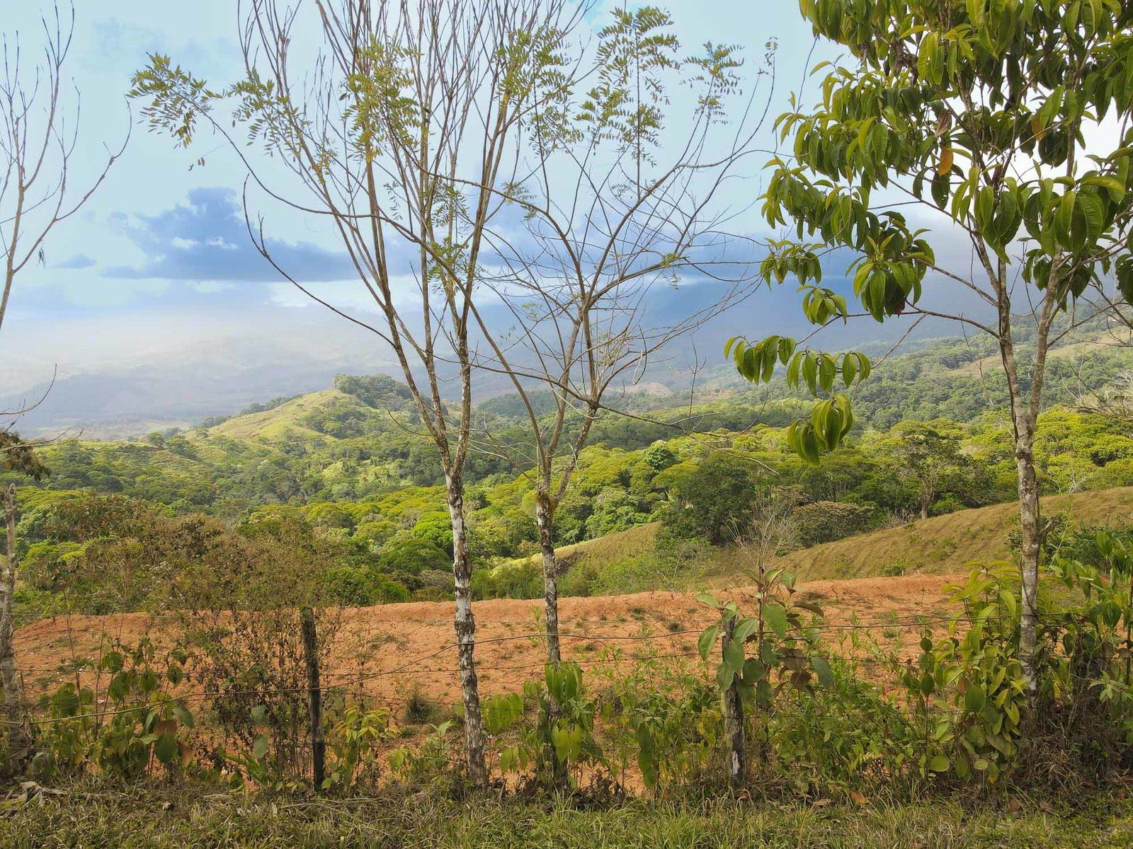 Tinamaste Mountain Ocean View, Tinamastes, Perez Zeledon, Baru, Perez Zeledon, San Jose, Costa Rica 10408 — photo 5 of 5