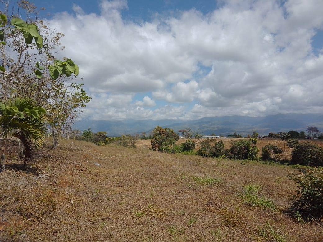 Beautiful Mountain View Property on 8+ Acres — photo 3 of 19