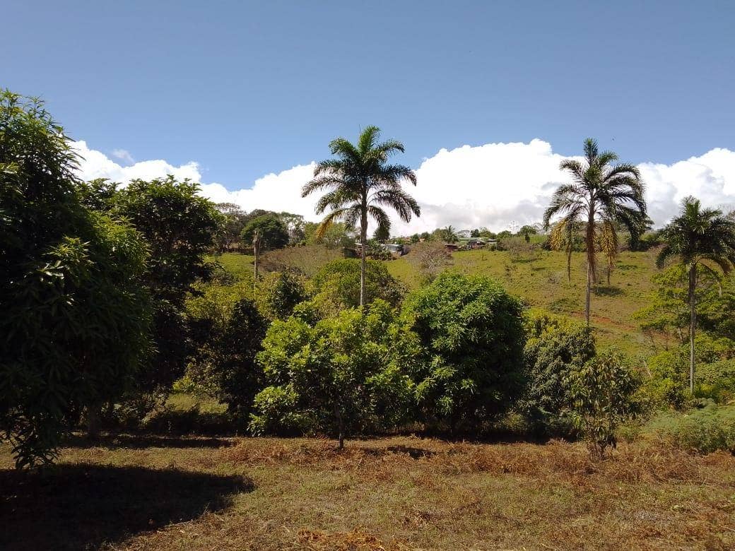 Beautiful Mountain View Property on 8+ Acres — photo 2 of 19