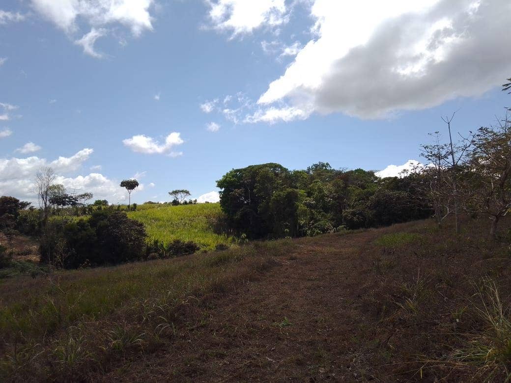 Beautiful Mountain View Property on 8+ Acres — photo 6 of 19