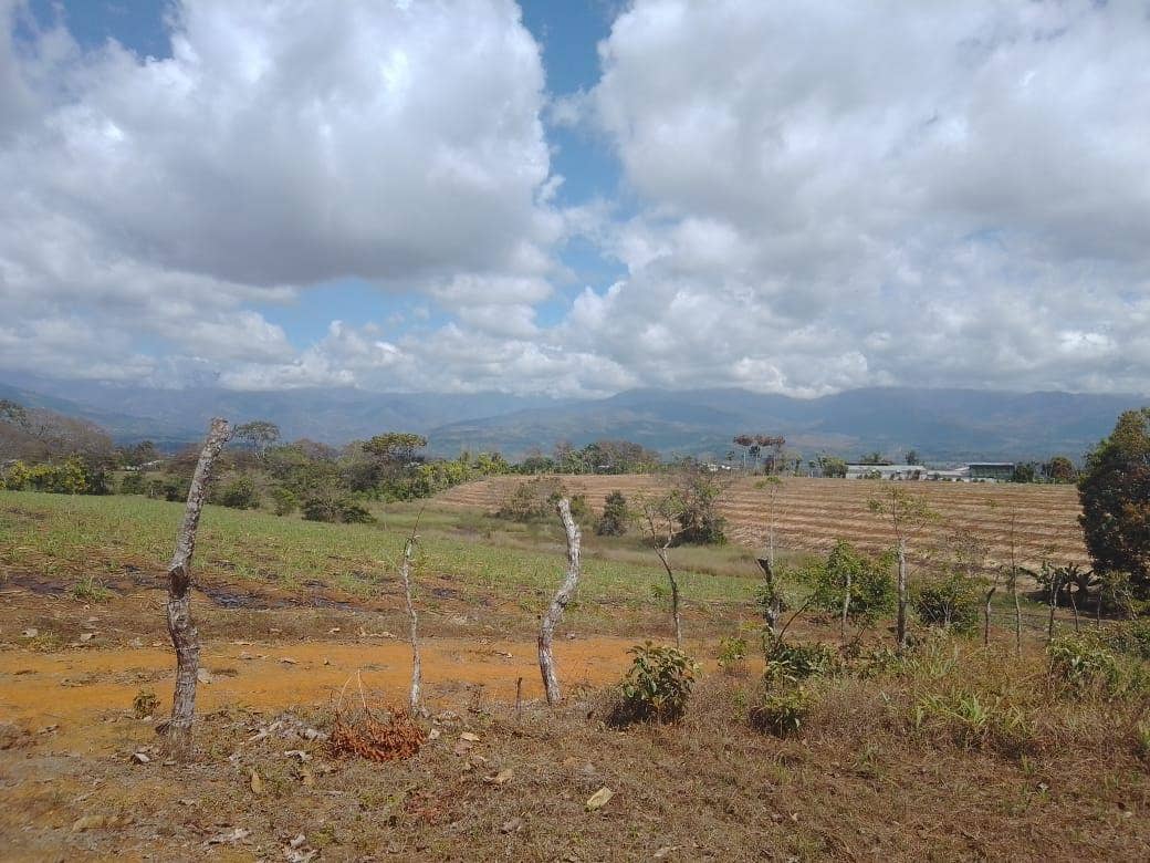 Beautiful Mountain View Property on 8+ Acres — photo 7 of 19