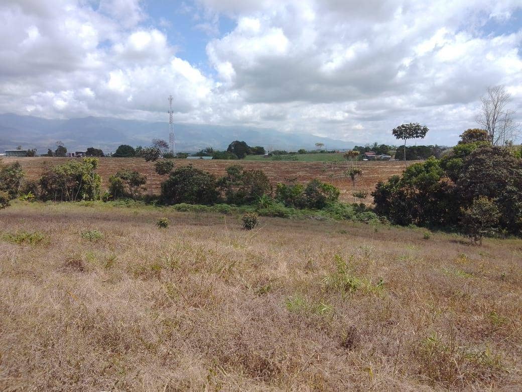 Beautiful Mountain View Property on 8+ Acres — photo 8 of 19