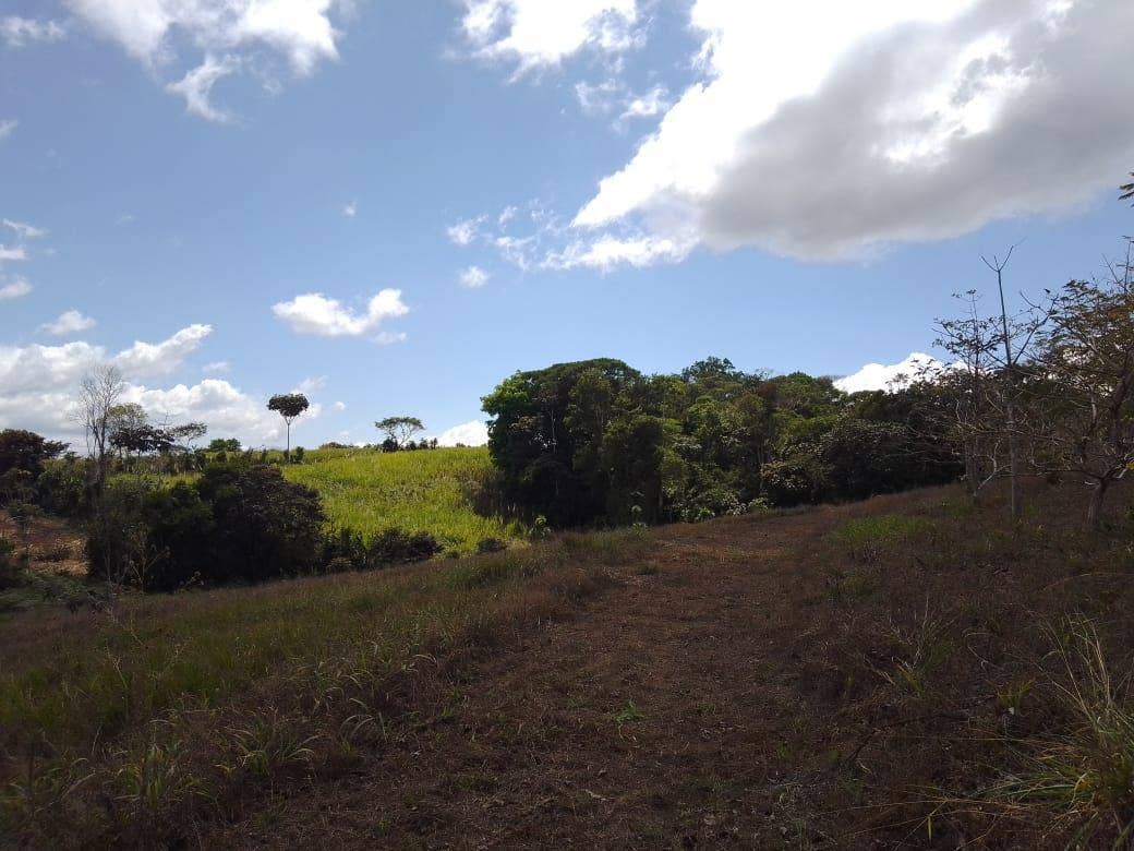 Beautiful Mountain View Property on 8+ Acres — photo 9 of 19