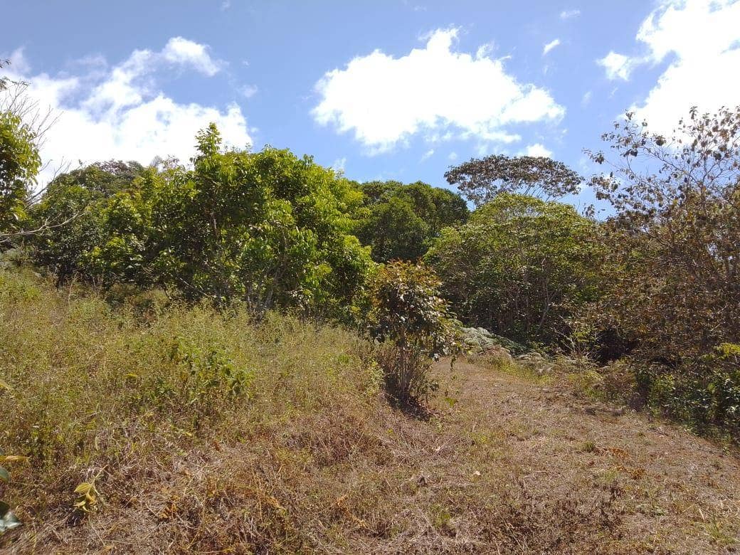 Beautiful Mountain View Property on 8+ Acres — photo 11 of 19