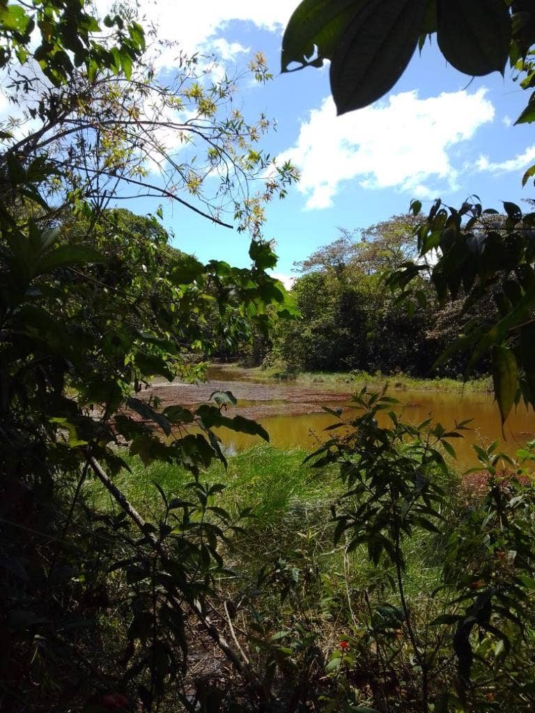 Beautiful Mountain View Property on 8+ Acres — photo 12 of 19
