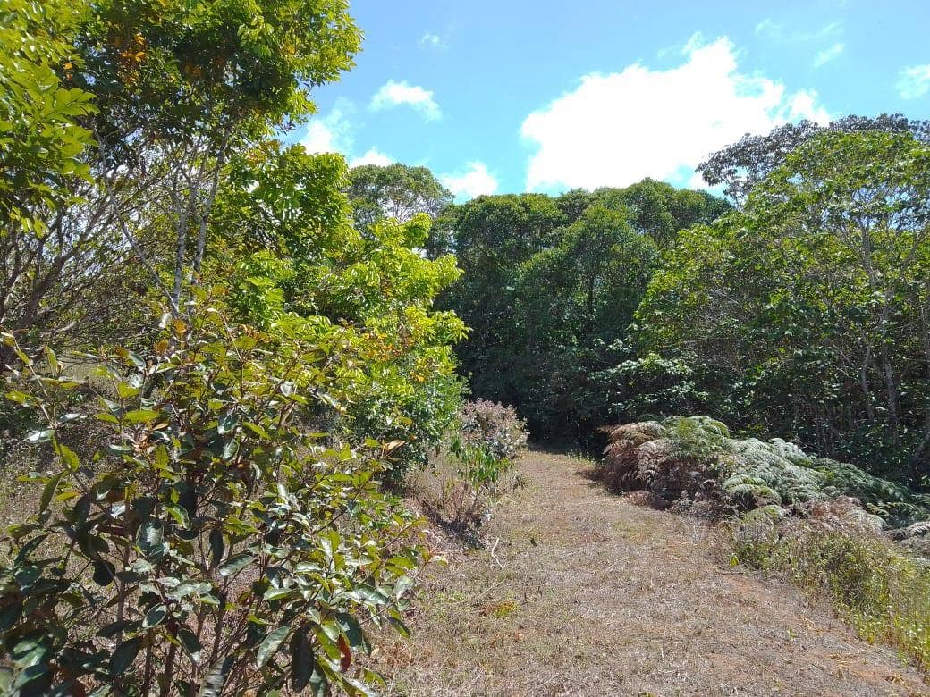 Beautiful Mountain View Property on 8+ Acres — photo 13 of 19