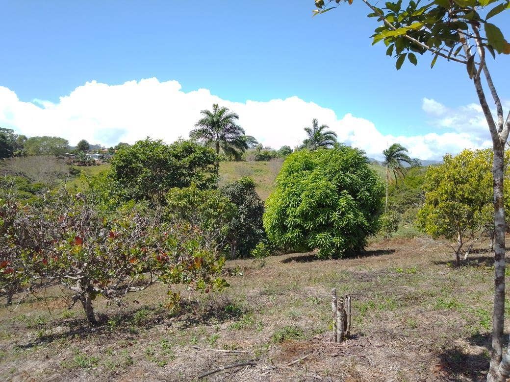 Beautiful Mountain View Property on 8+ Acres — photo 15 of 19